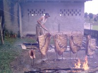 /album/galeria-de-fotos/p071109-09-42-02-jpg/